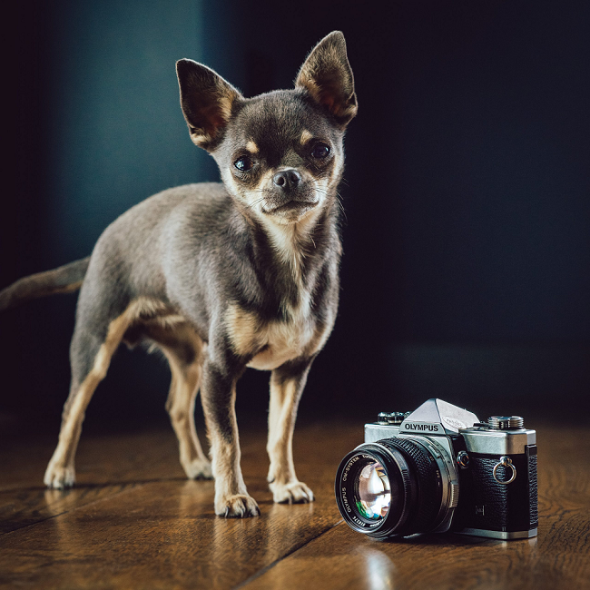 The story of Usedlens.co.uk